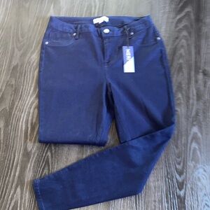 MERI SKYE Women's Classic Blue Skinny Jeans Plus size